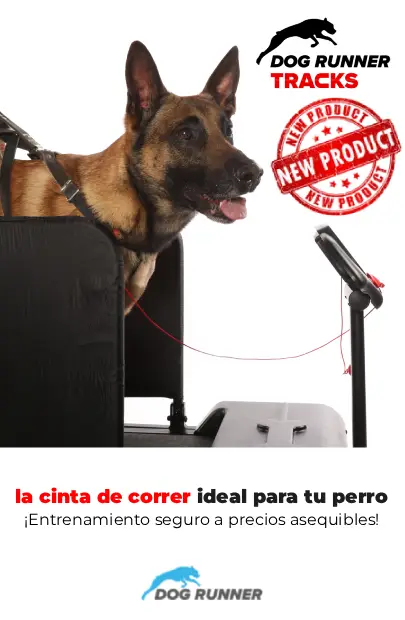 Dog runner. K9 Rescate