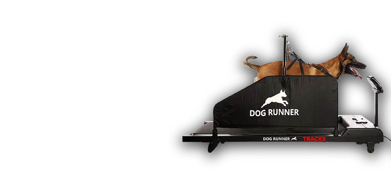 dogrunner_slider_portada_transp