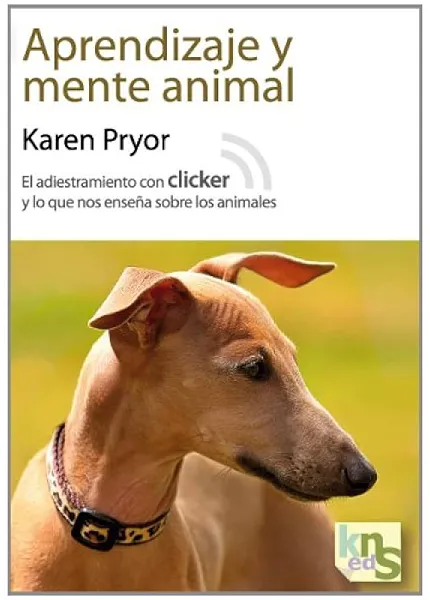 Sabiduría y aprendizaje animal. K9 Rescate