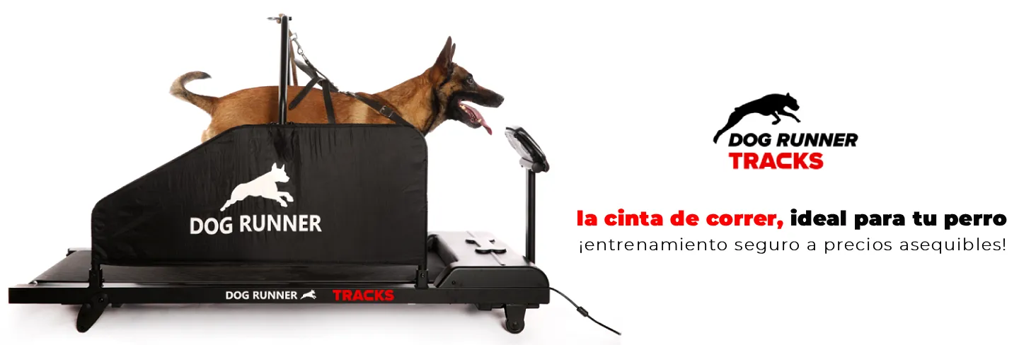 Dog Runner. K9 Rescate