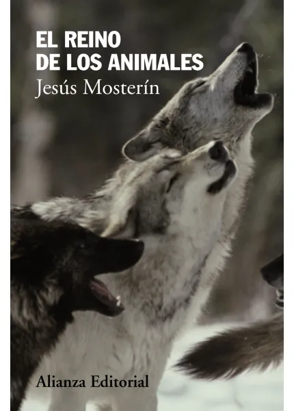 El reino de los animales. K9 Rescate