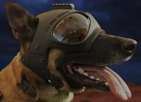 Equipo perro. K9 Rescate