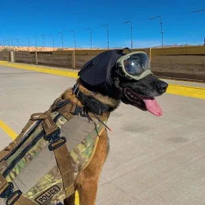 Protección auditiva Rex Specs EAR PRO. K9 Rescate