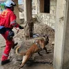 UBR K9 México, héroes de cuatro patas en la tragedia de Hidalgo