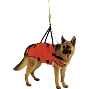 Arnés de cabrestante para taxi - ALP DESIGN. K9 Rescate