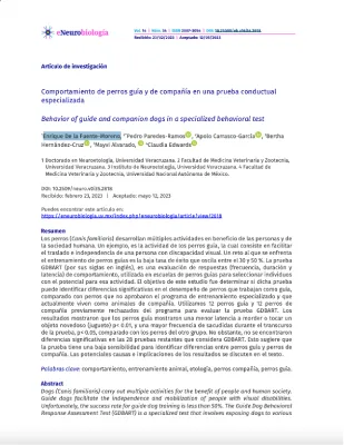 Comportamiento de perros guía. K9 Rescate