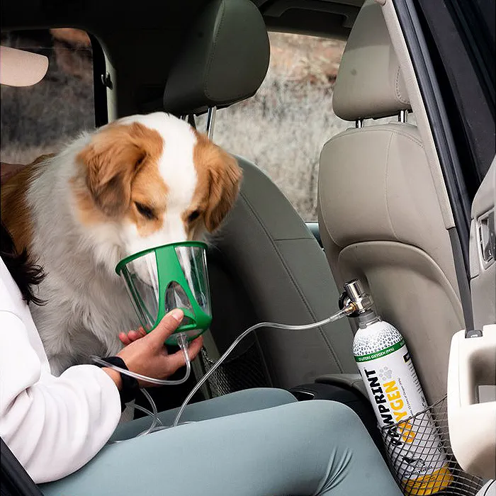 Pawprint Kit de oxígeno. K9 Rescate