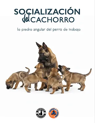 Socialización del cachorro. K9 Rescate